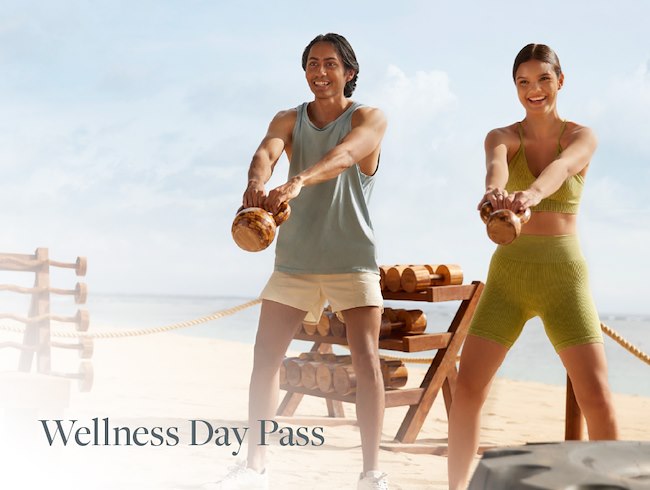 day pass offer